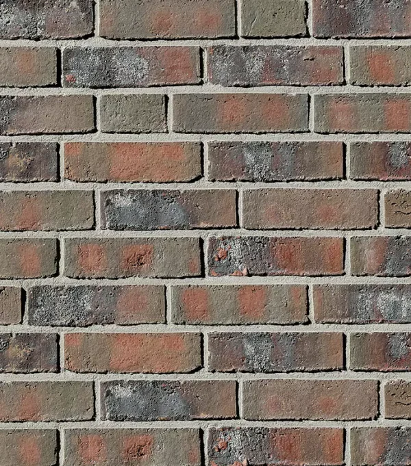 Cărămidă klinker Roben Wiesmoor kohle-bunt