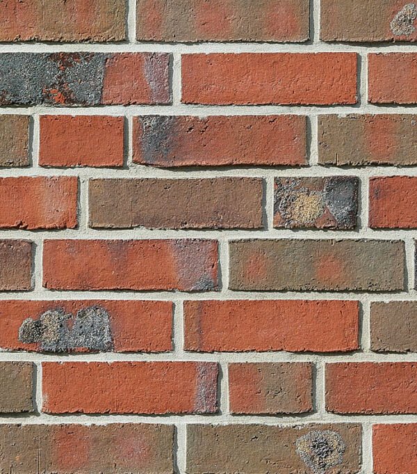 Cărămidă klinker Roben Wiesmoor rotblau-bunt