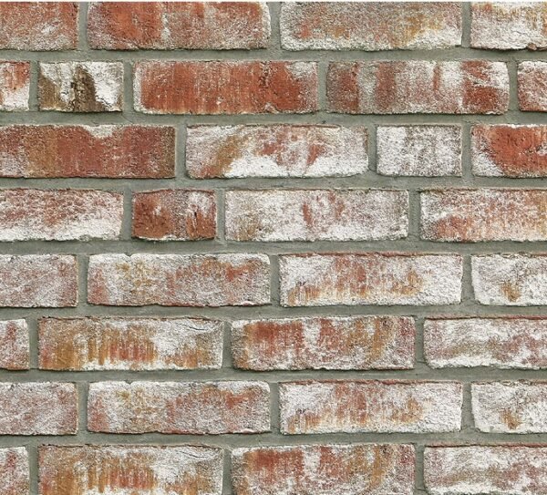 Placaj klinker Roben GEESTBRAND Bunt-weiss