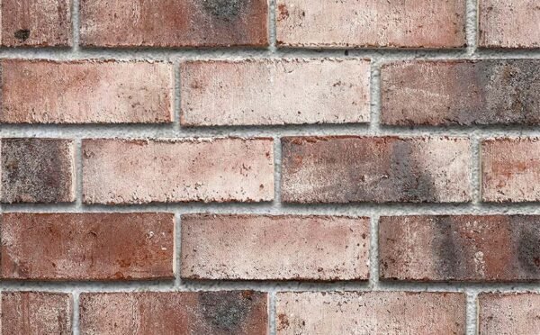 Placaj klinker Roben Wiesmoor kohle-weiss