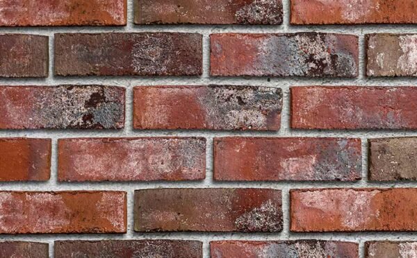 Placaj klinker Roben Wiesmoor rotblau-bunt